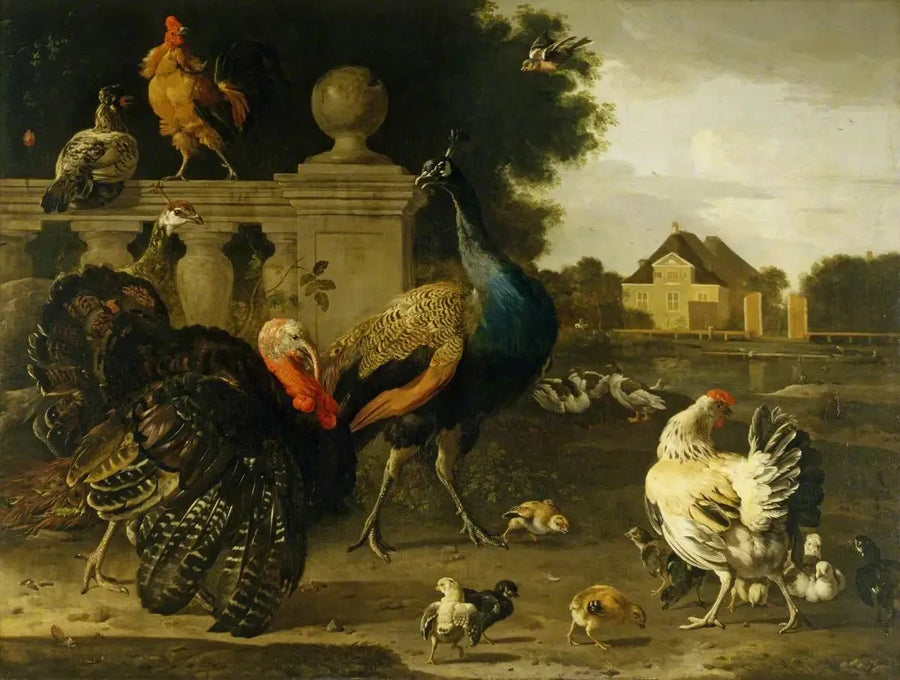En kalkunhane og andre fugle i en have - Melchior de Hondecoeter