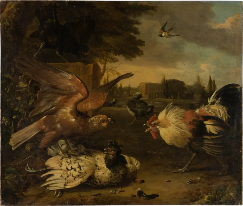 En hane forsvarer en høne mod en rovfugl, der angriber den - Melchior de Hondecoeter