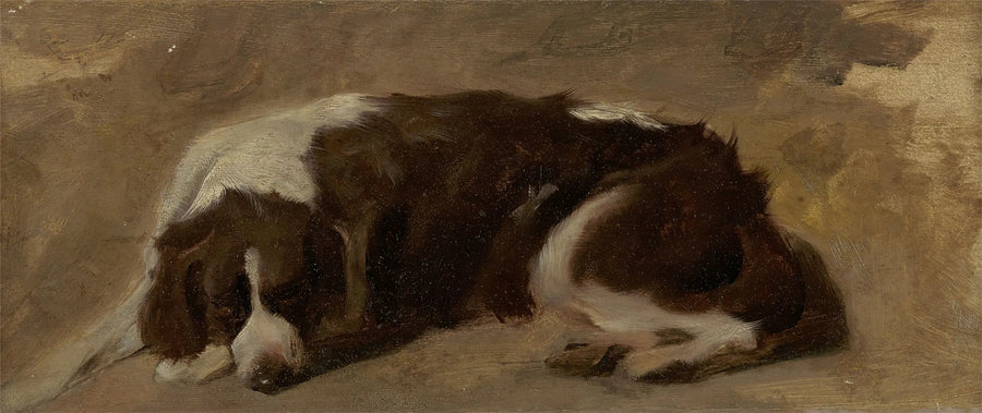 En liggende spaniel - Edwin Henry Landseer