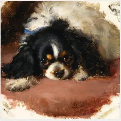 En King Charles spaniel - Edwin Henry Landseer