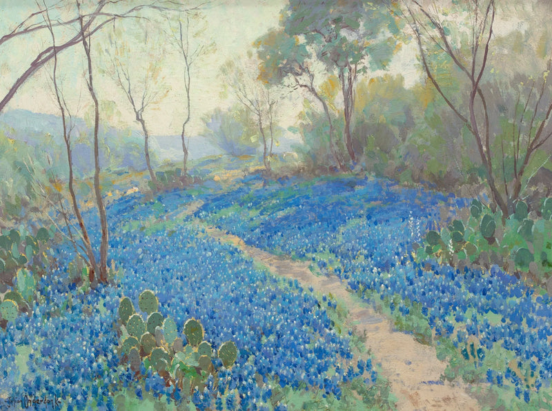 En bjergskråning dækket af blå lupiner, tidligt om morgenen, nær San Antonio, Texas. - Julian Onderdonk