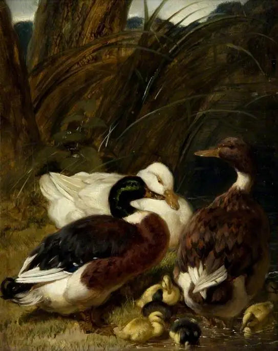 En gruppe af ænder - John Frederick Herring, Sr.