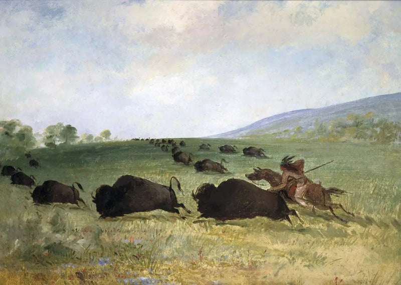 En indisk Osage kaster en bøffel - George Catlin