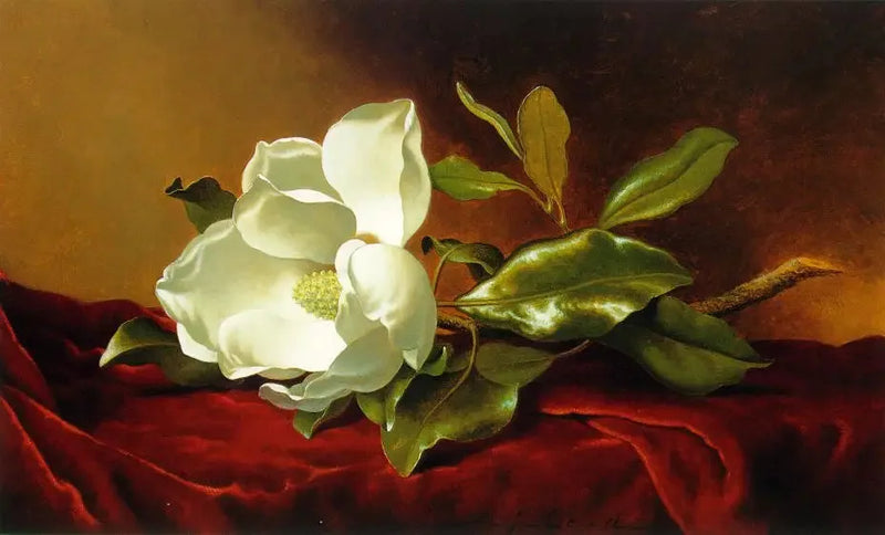 En magnolia på rød velour - Martin Johnson Heade