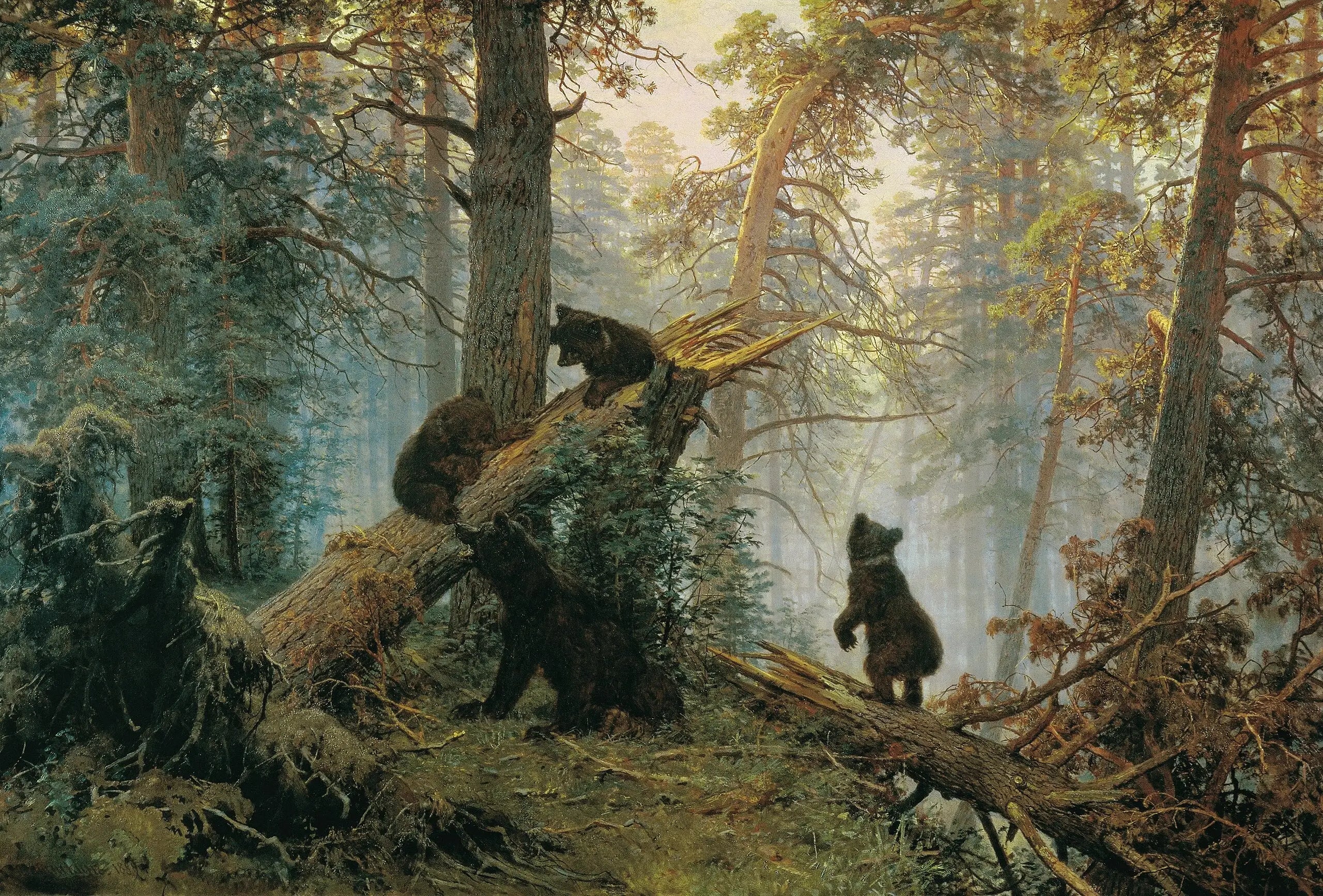 Un matin dans une forêt de pins - Ivan Chichkine - Alpha Reproduction
