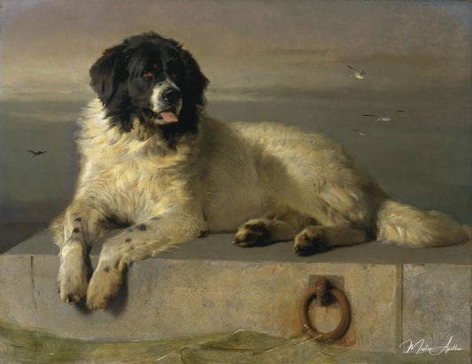 Un membre distingué de la Humane Society - Edwin Landseer - Reproductions de tableaux et peintures haut de gamme