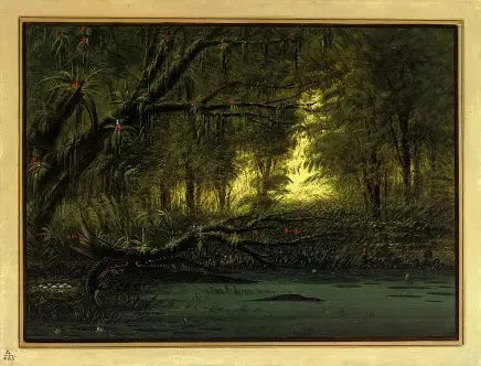 En krokodillehule - George Catlin