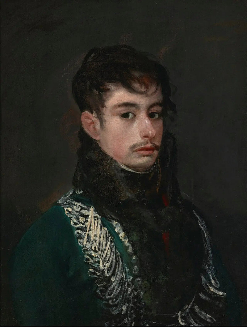 En officer (sandsynligvis greven af Teba) - Francisco de Goya