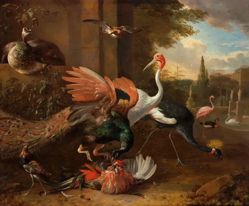 En påfugl angriber en hane - Melchior de Hondecoeter