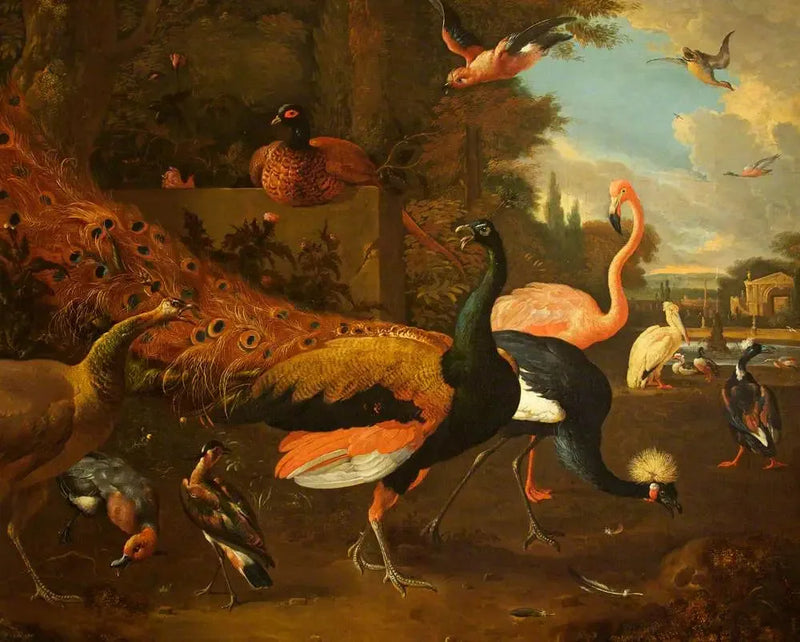 En påfugl og en hunpåfugl med en stork, en flamingo, en pelikan og andre fugle, i en park - Melchior de Hondecoeter
