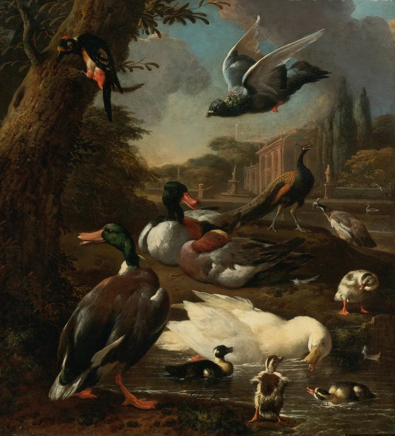 En påfugl, en due, ænder og andre fugle i en have - Melchior de Hondecoeter
