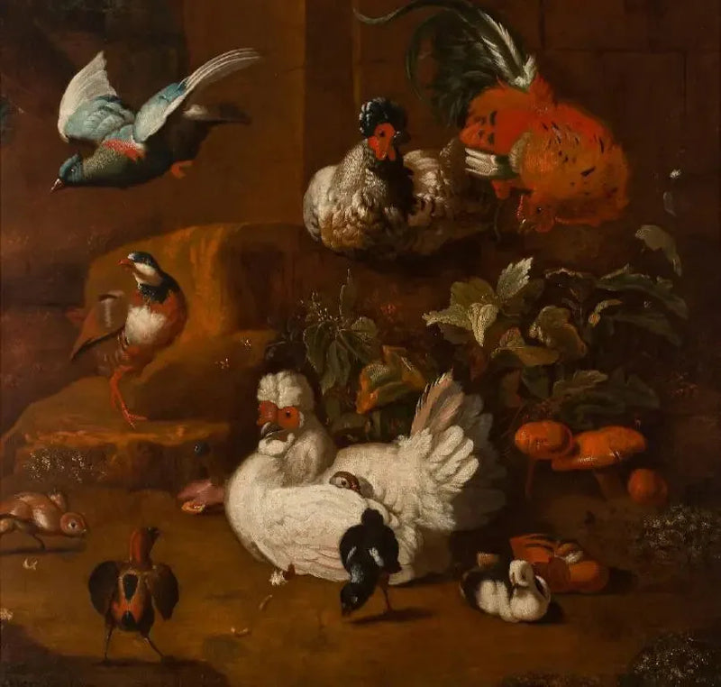 En forsamling af fugle - Melchior de Hondecoeter