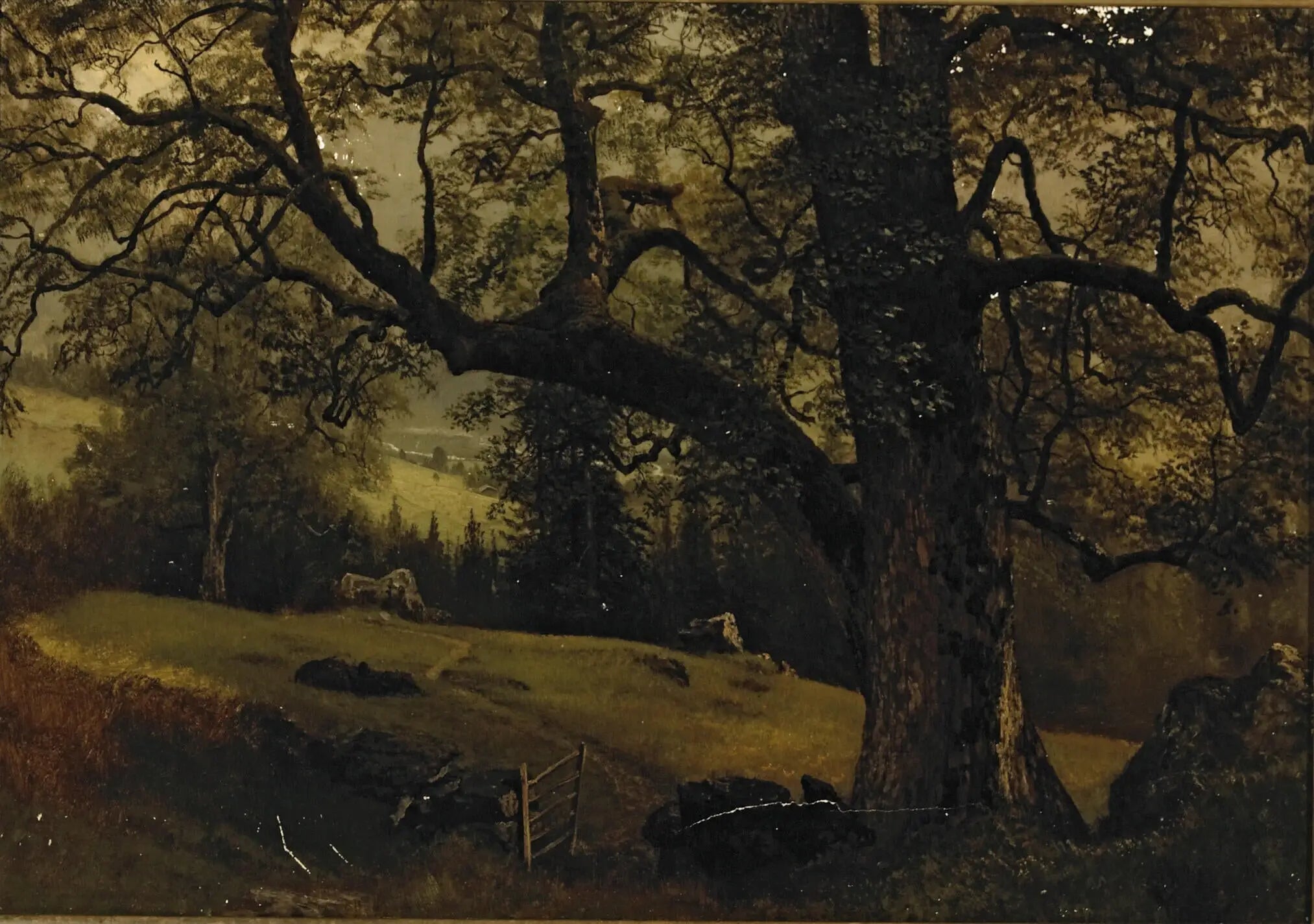 Un sentier à travers les arbres - Albert Bierstadt - Alpha Reproduction