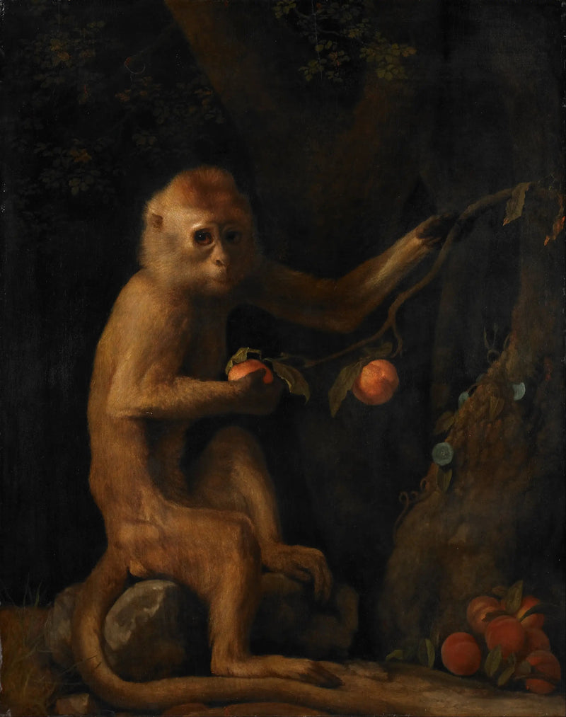 En abe - George Stubbs