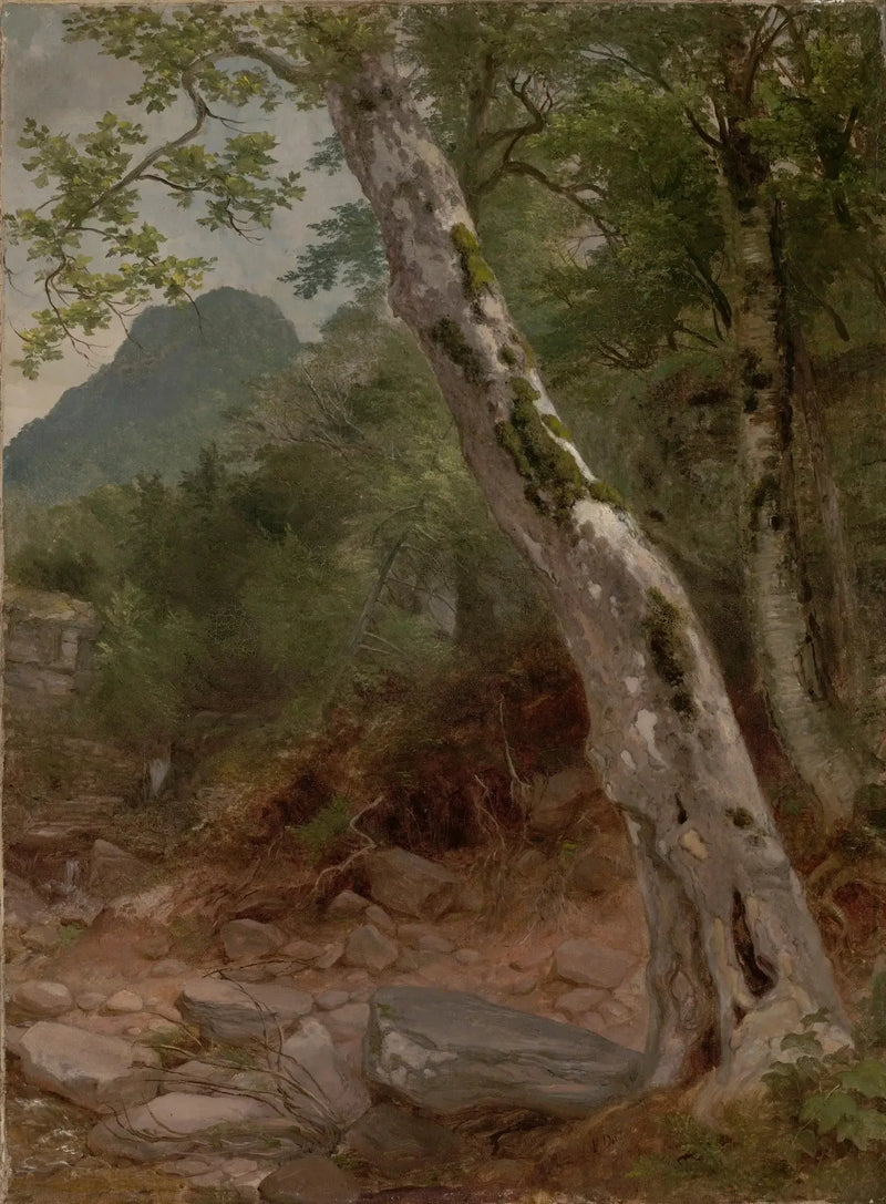 En sykomor, Plaaterkill Clove - Asher Brown Durand