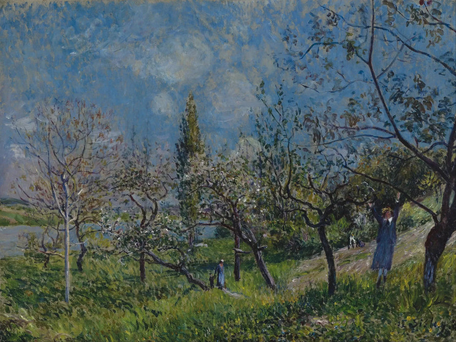 En frugtplantage om foråret, Af - Alfred Sisley