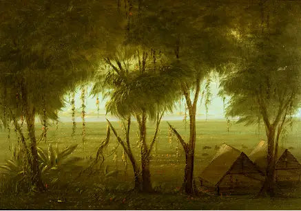 En landsby i Connibo - George Catlin