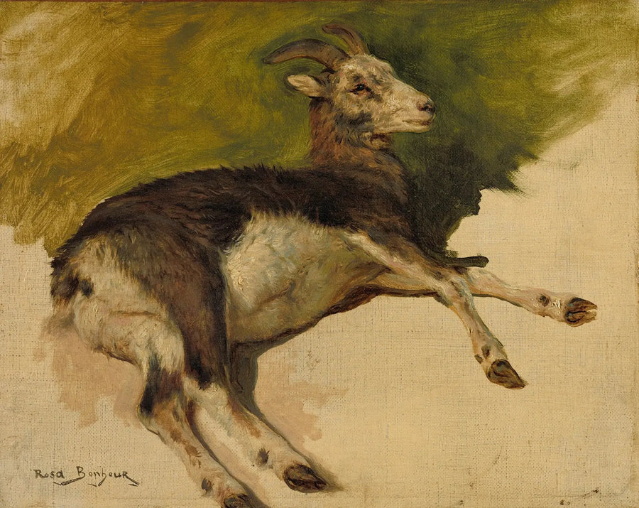 En ged - Rosa Bonheur