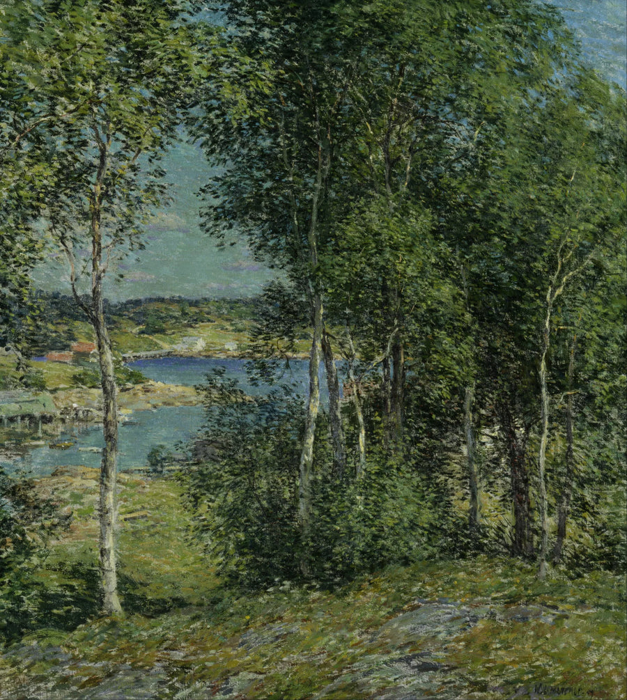 En familie af birketræer - Willard Metcalf