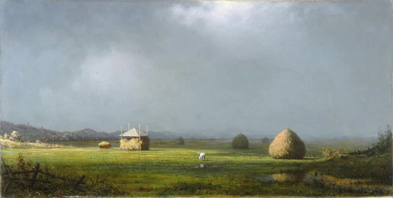 En overskyet dag - Martin Johnson Heade