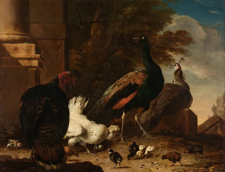En høne med påfugle og en kalkun - Melchior de Hondecoeter