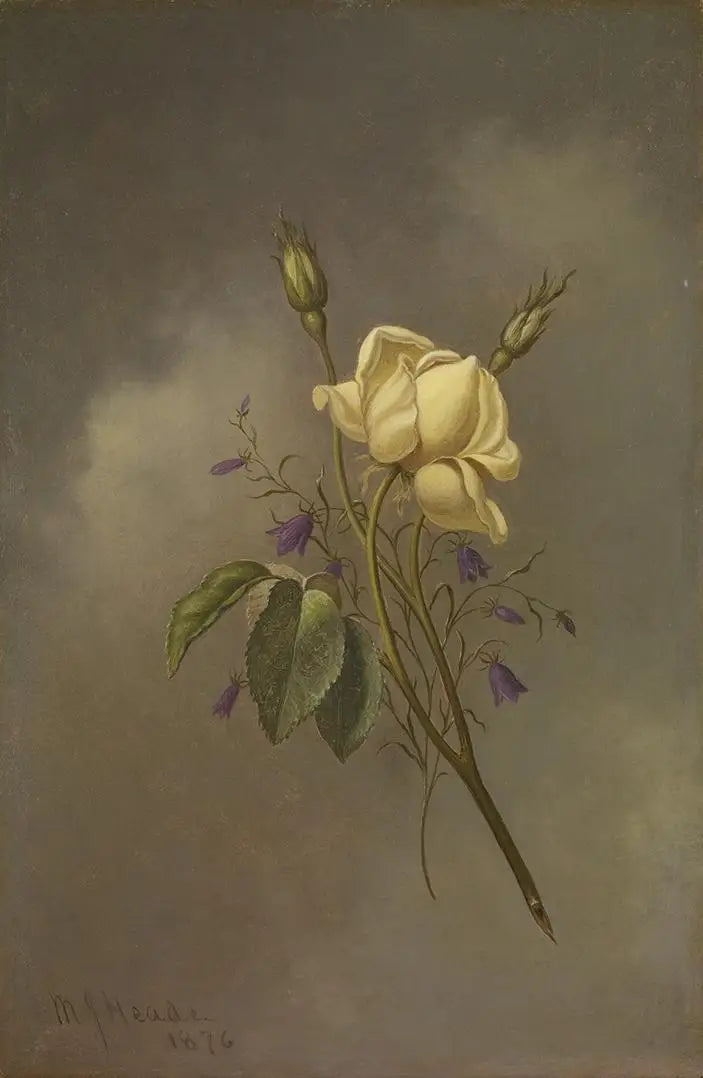 En gul rose mod en sky med skyer - Martin Johnson Heade
