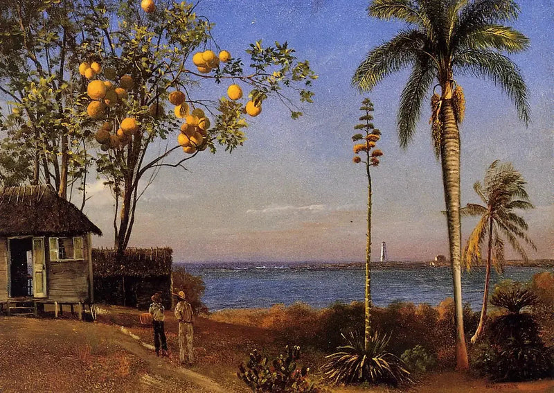 Udsigt over Bahamas, olie på papir limet på lærred, 48,58 x 35,24 cm - Albert Bierstadt