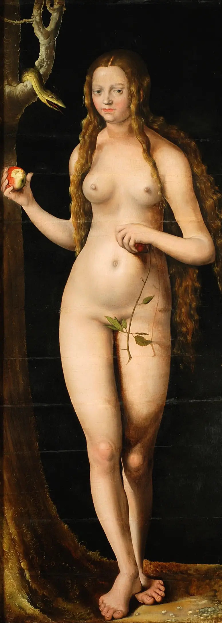Veille - Lucas Cranach den Ældre