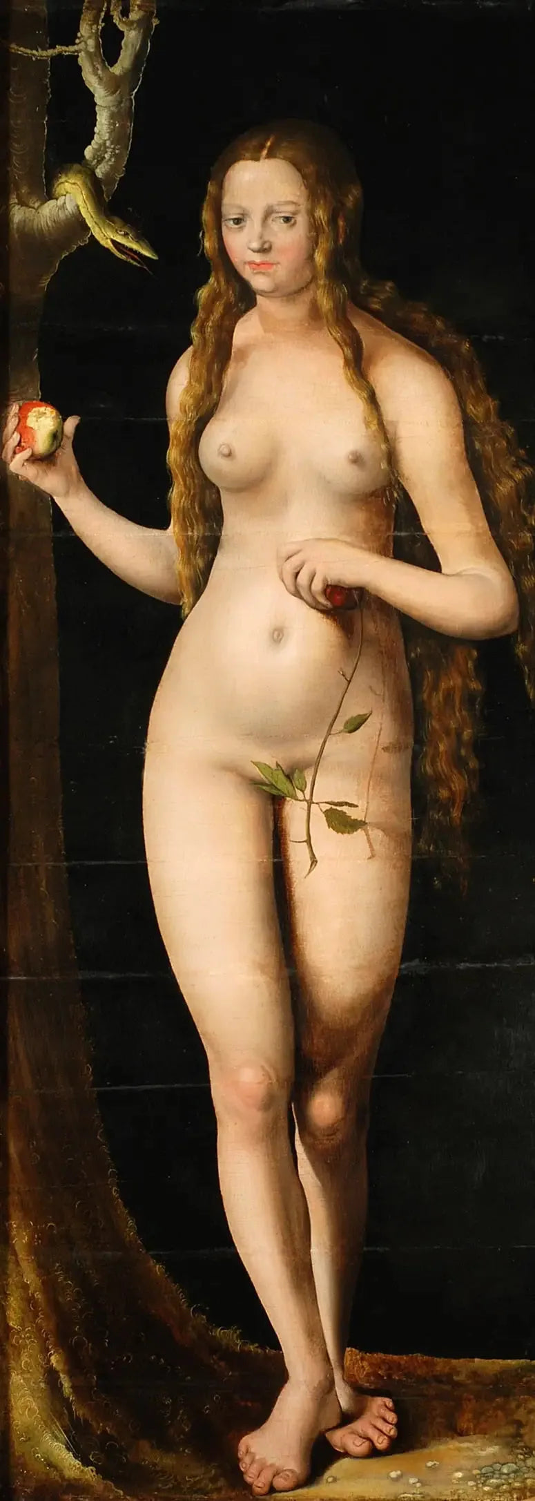 Veille - Lucas Cranach den Ældre