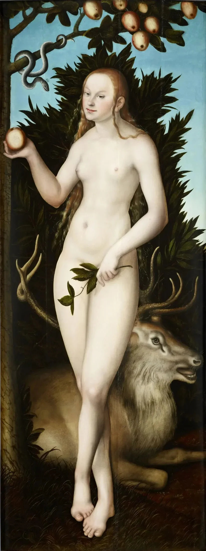 Veille - Lucas Cranach den Ældre
