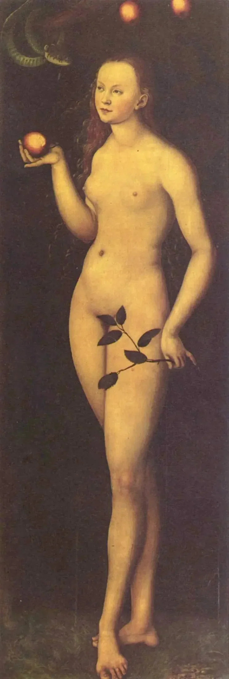 Veille - Lucas Cranach den Ældre