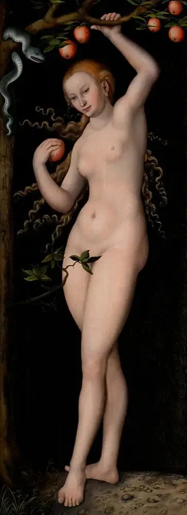 Veille - Lucas Cranach den Ældre