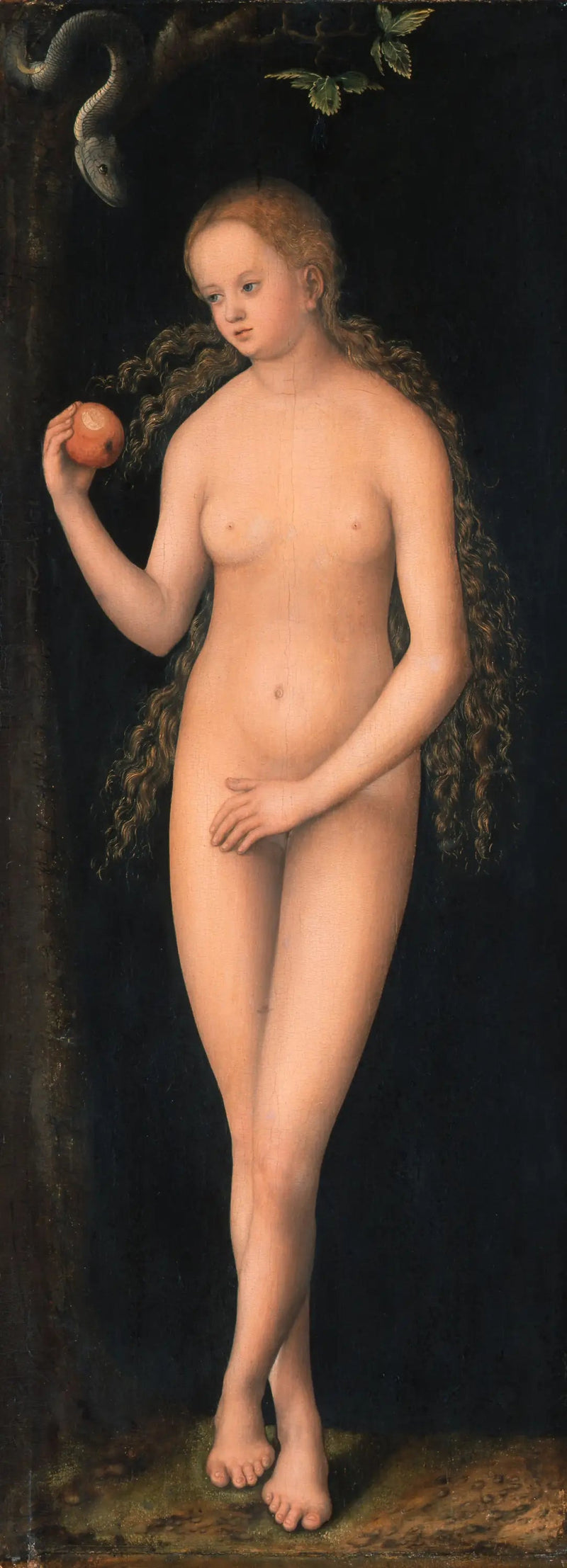 Veille - Lucas Cranach den Ældre