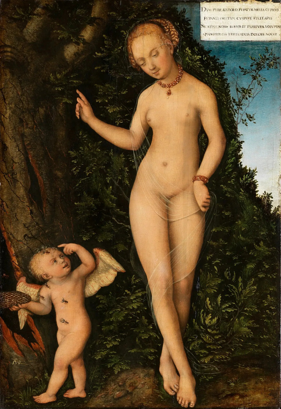 Venus med Cupido, honningtyven - Lucas Cranach den Ældre