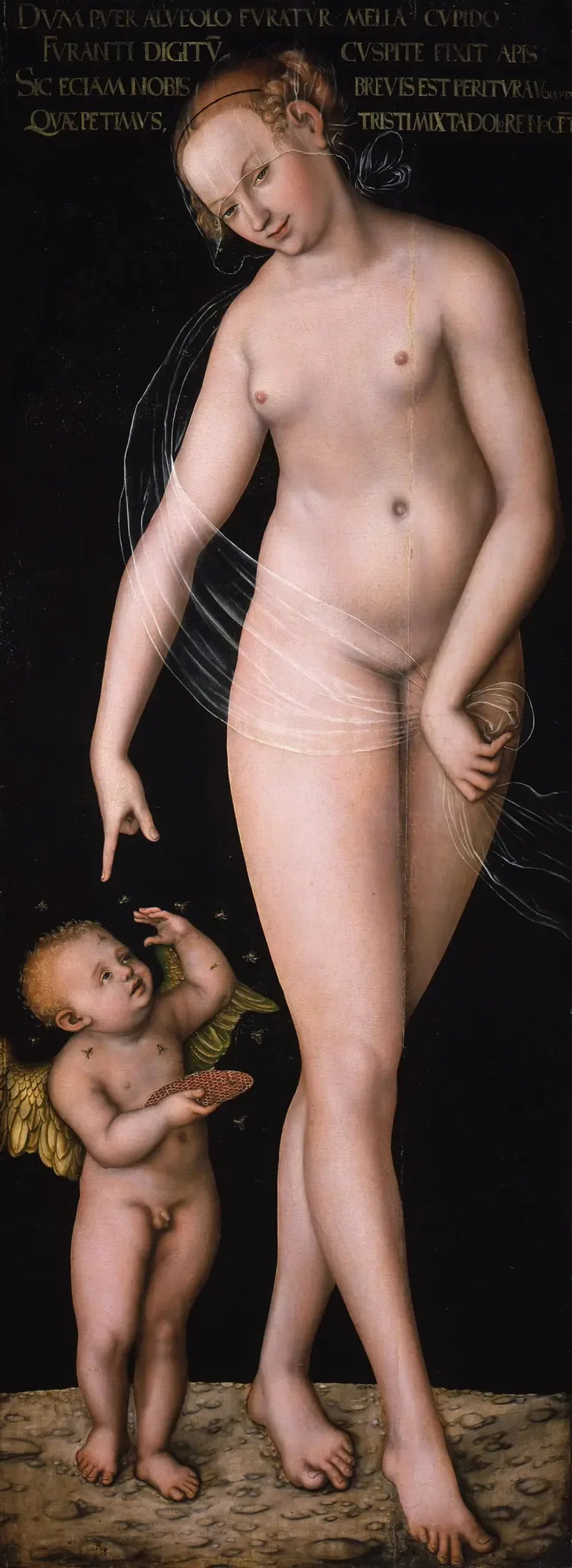 Venus med Cupido, honningtyven - Lucas Cranach den Ældre