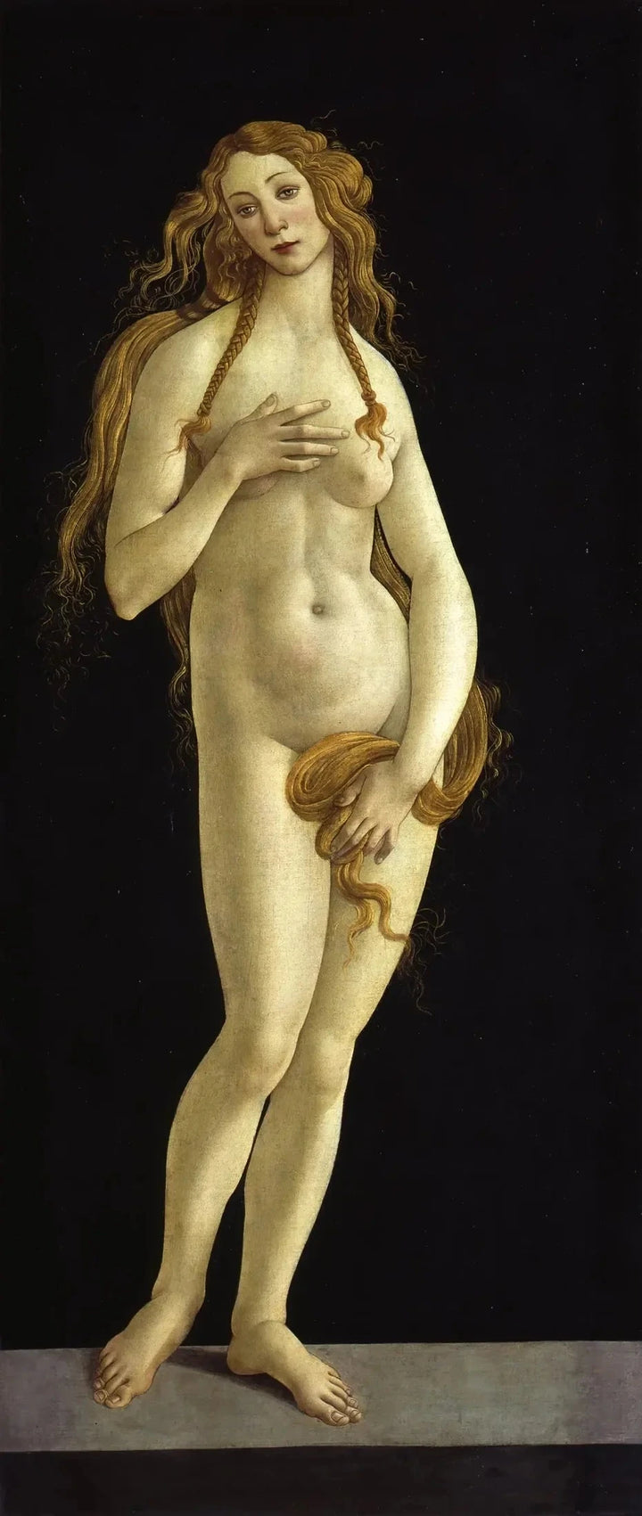 Venus, omkring 1490 - Botticelli og værksted, Galleria Sabauda