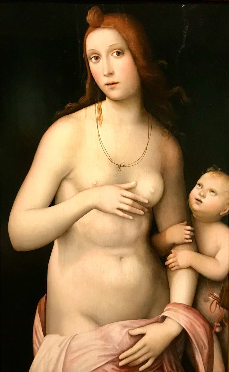 Venus og Amor - Francesco Francia