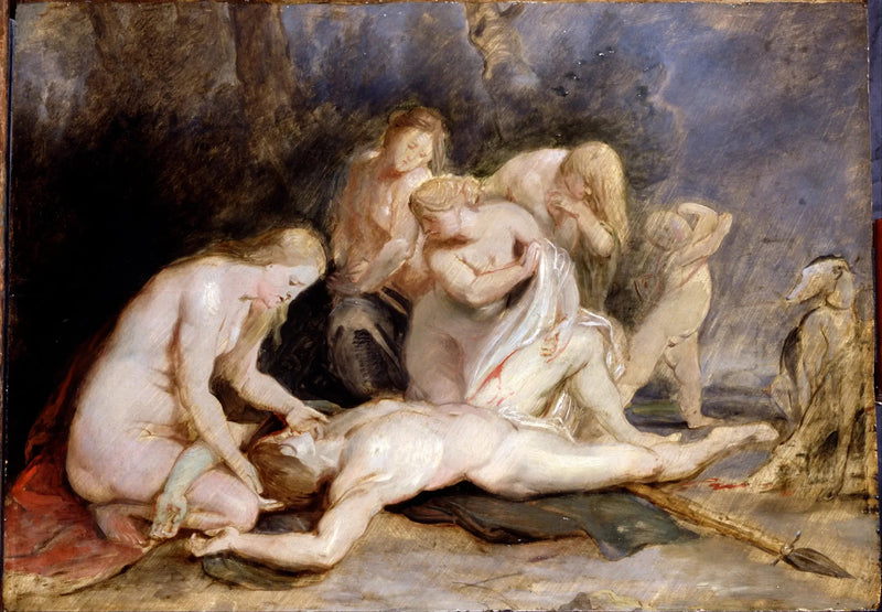 Venus grædende Adonis - Peter Paul Rubens