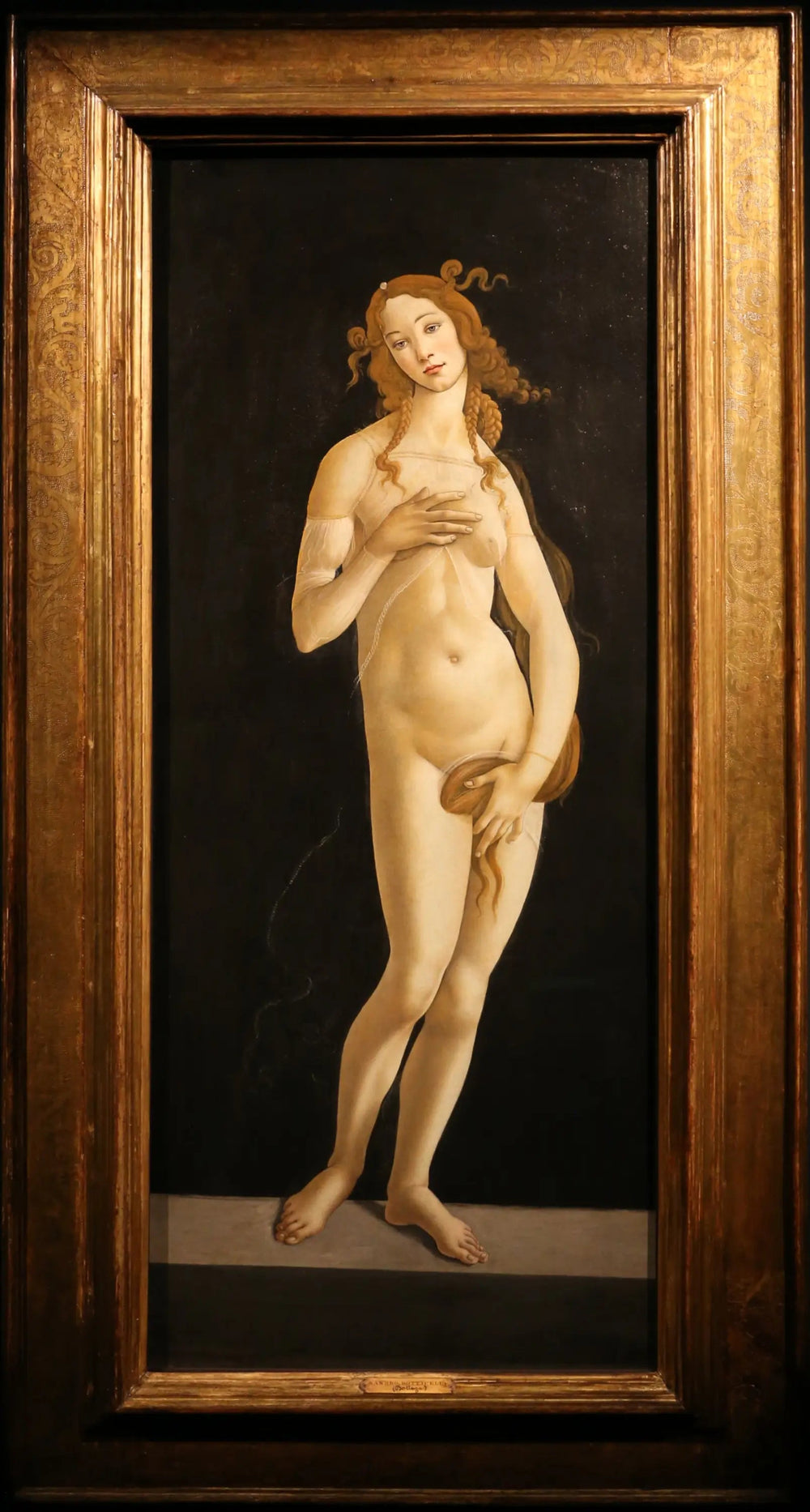 Vénus pudique - Sandro Botticelli image 1 reproduction artisanale de tableau