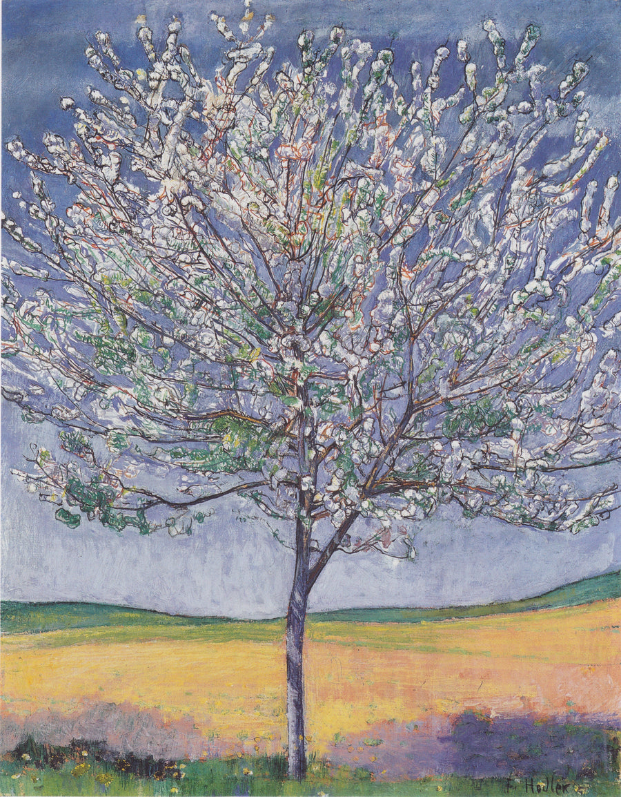Cerisier en fleurs – Ferdinand Hodler