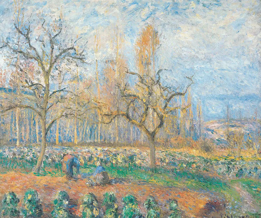 Frugtplantage i Pontoise, solnedgang - Camille Pissarro