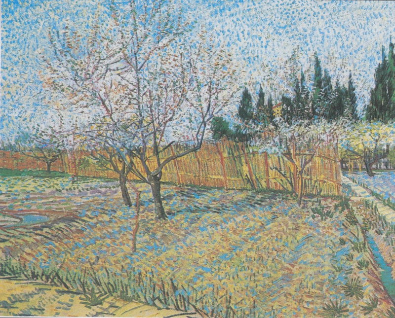 Frugthave med cypresser - Vincent van Gogh