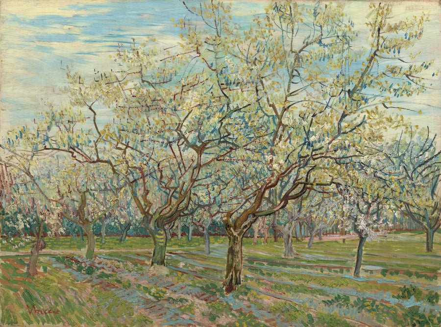 Den hvide frugthave - Vincent van Gogh