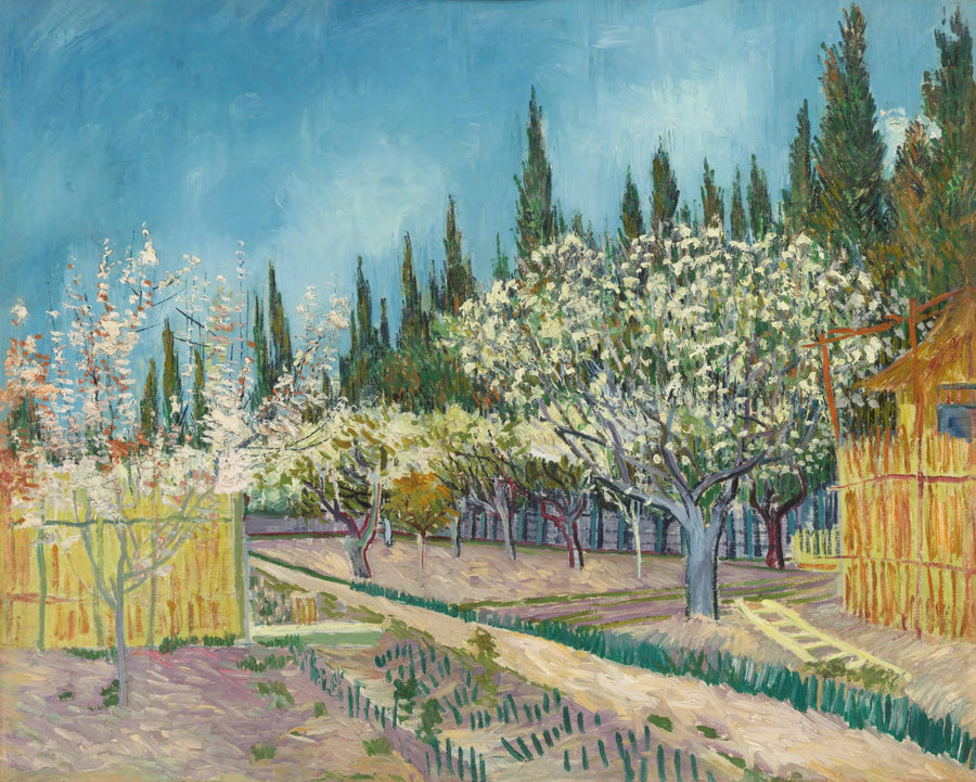 Frugthave i blomst, omgivet af cypresser - Vincent van Gogh