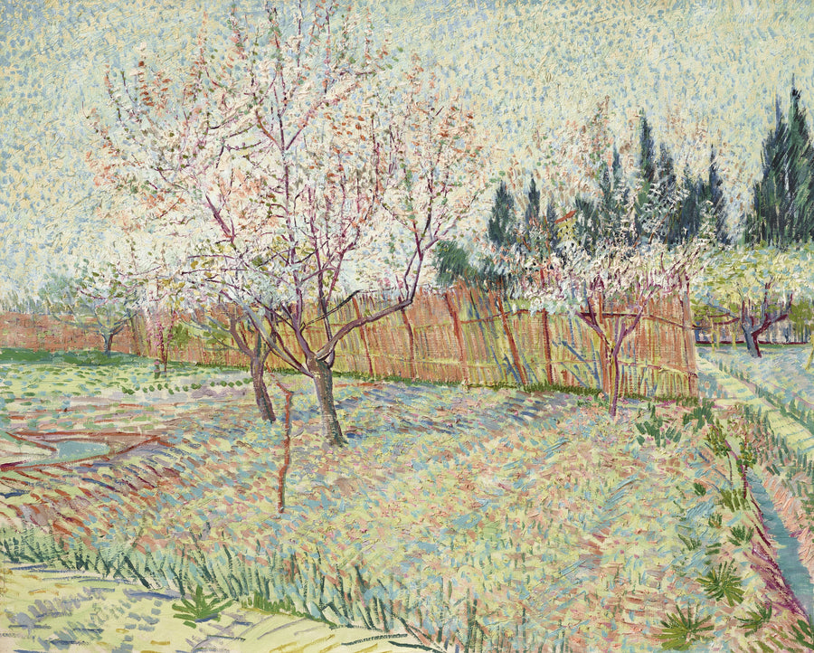 Frugthave med cypresser - Vincent van Gogh