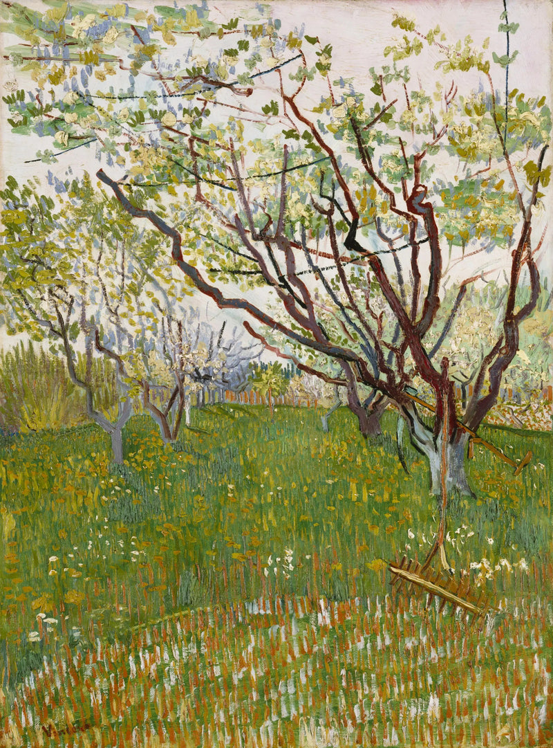 Frugthave i blomst - Vincent van Gogh