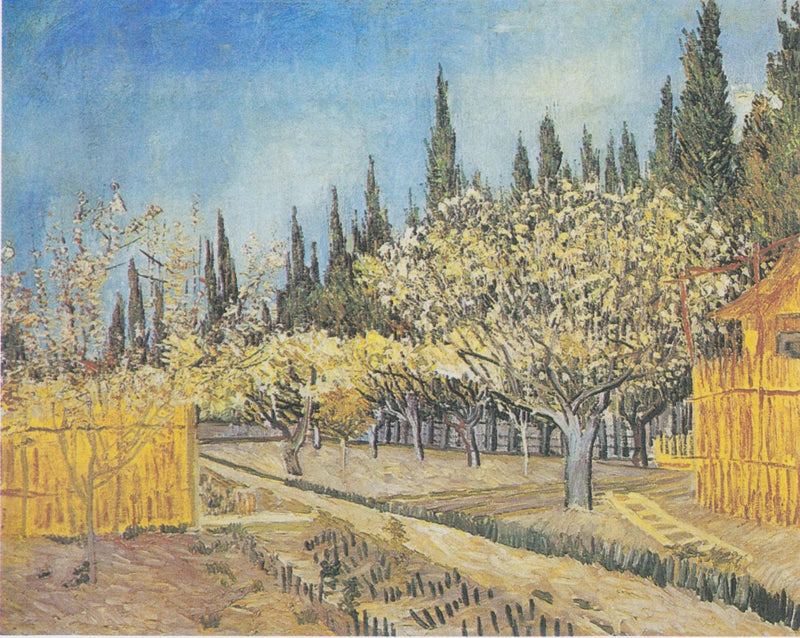 Frugthave i blomst, omgivet af cypresser - Vincent van Gogh