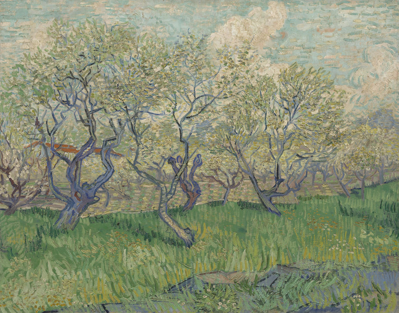 Frugthave i blomst - Vincent van Gogh