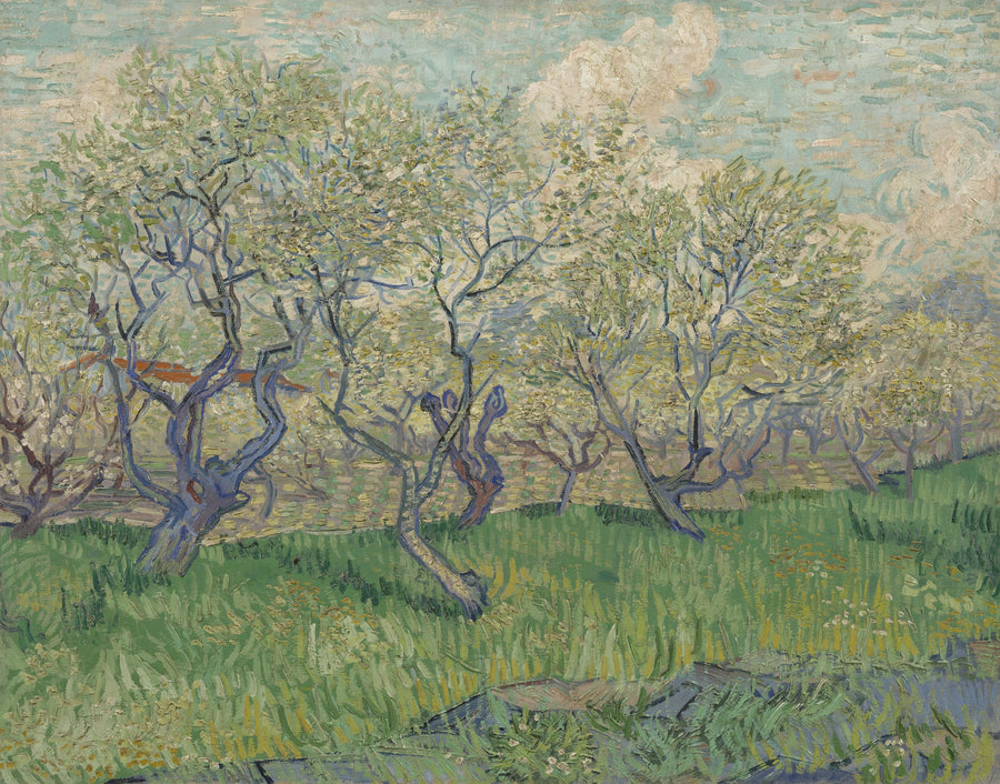 Frugthave i blomst - Vincent van Gogh