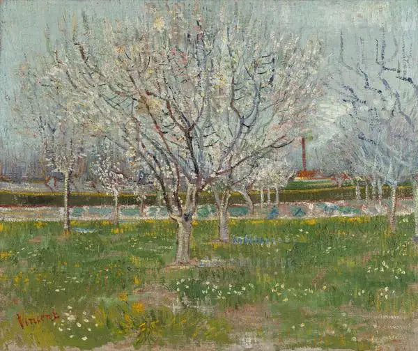 Frugthave i blomst - Vincent van Gogh